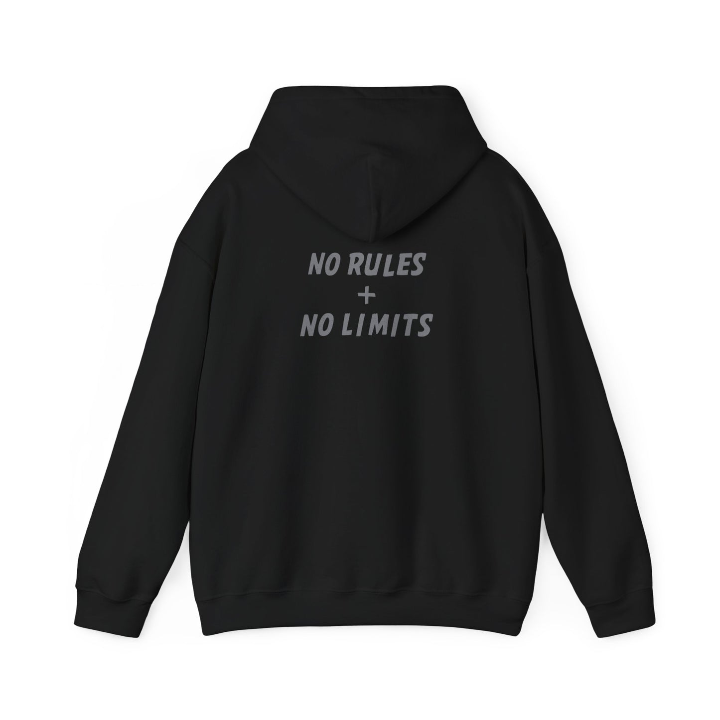 PICKLEBALL PUNK – No Rules Hoodie