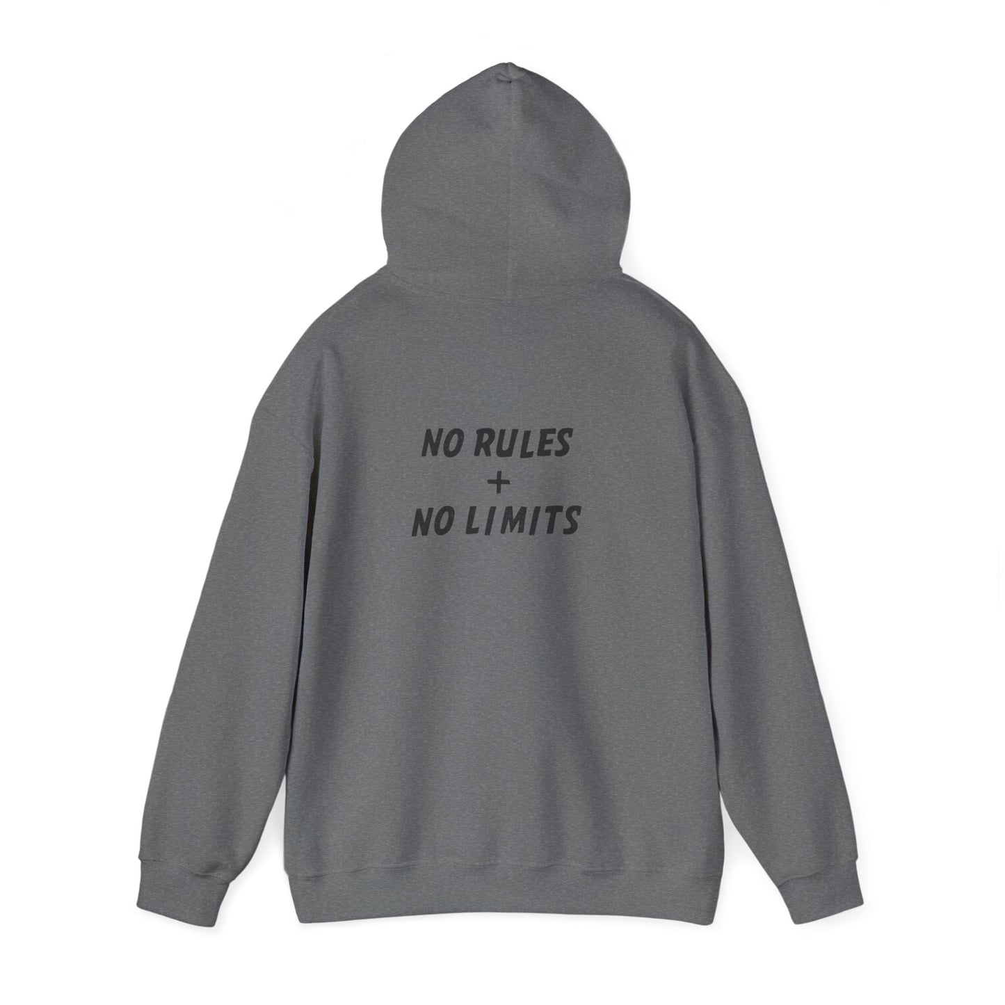 PICKLEBALL PUNK – No Rules Hoodie