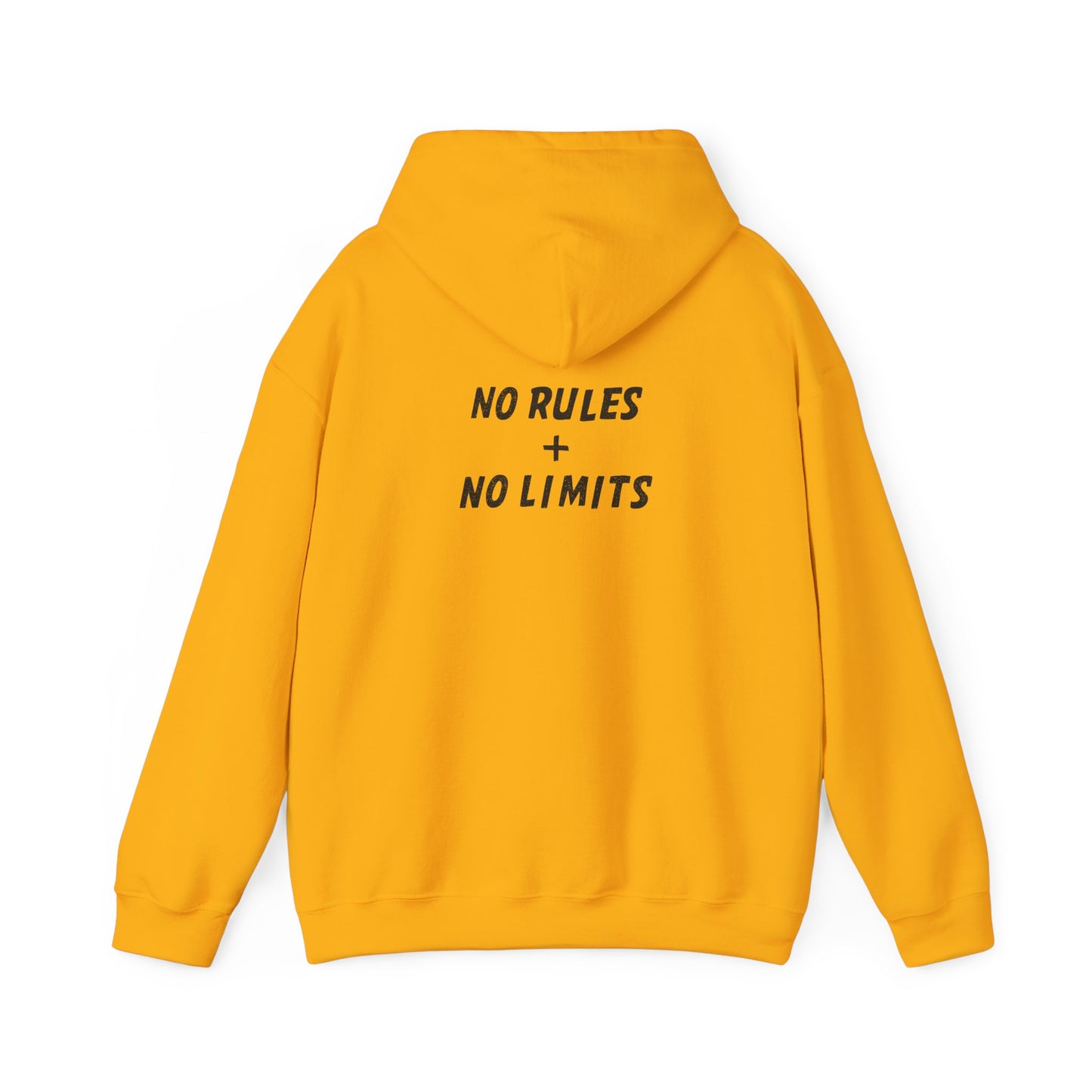 PICKLEBALL PUNK – No Rules Hoodie