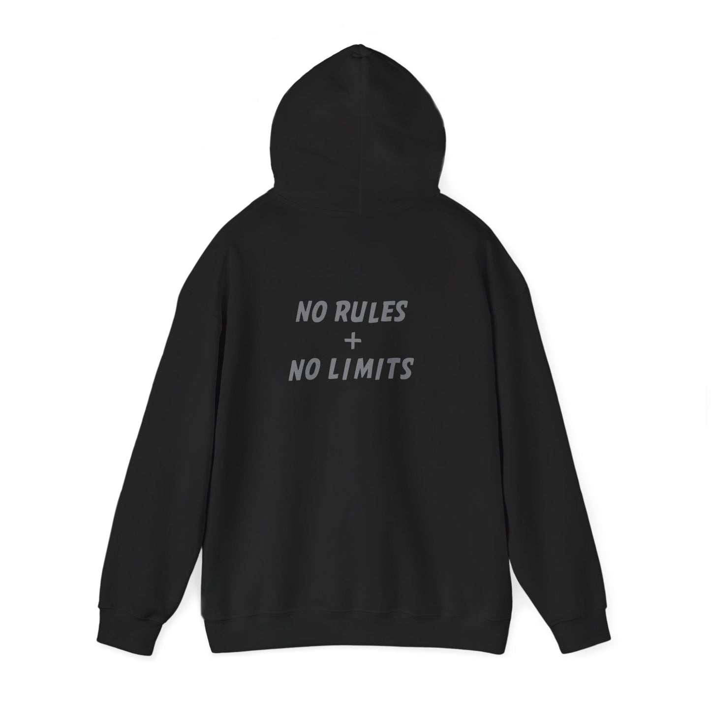 PICKLEBALL PUNK – No Rules Hoodie