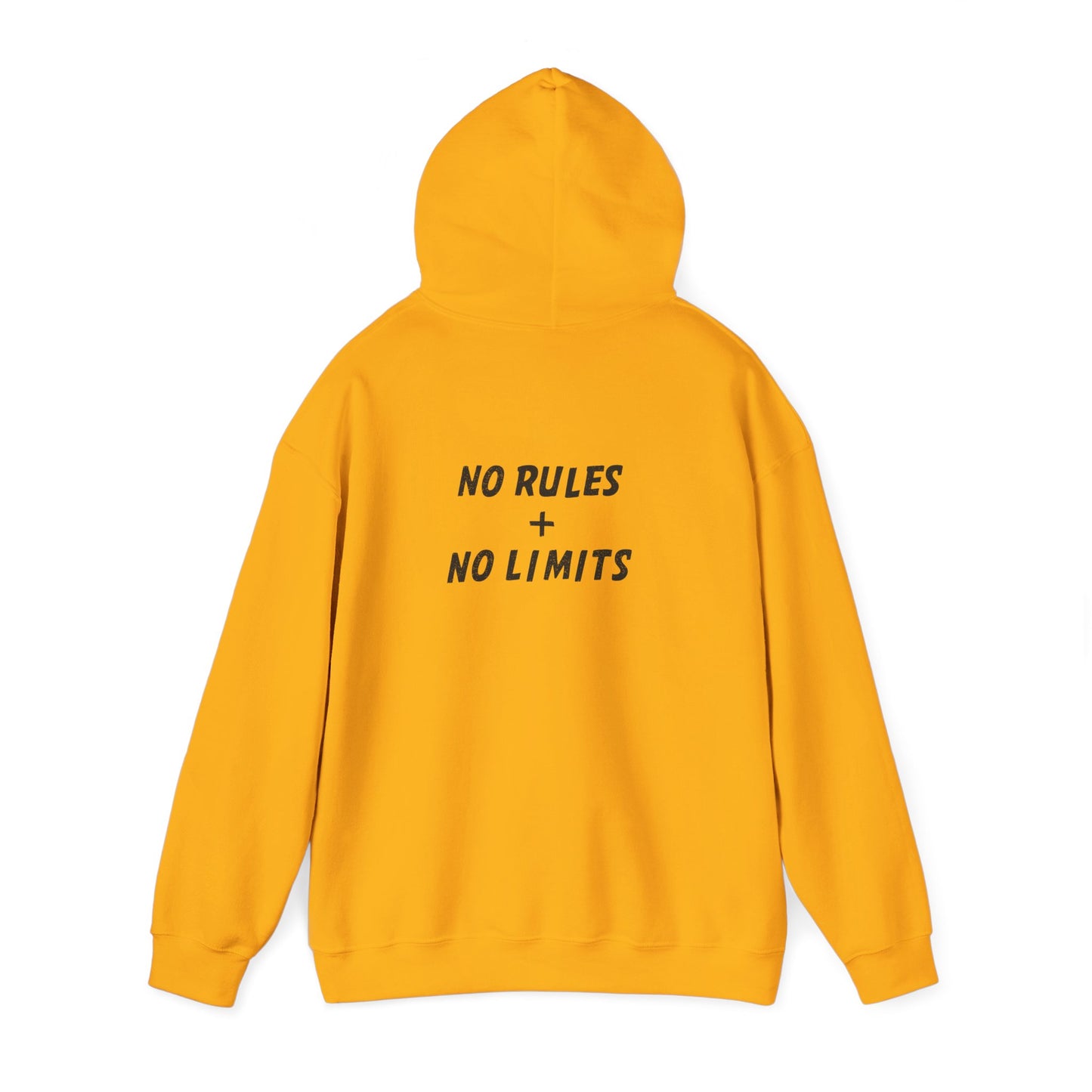 PICKLEBALL PUNK – No Rules Hoodie