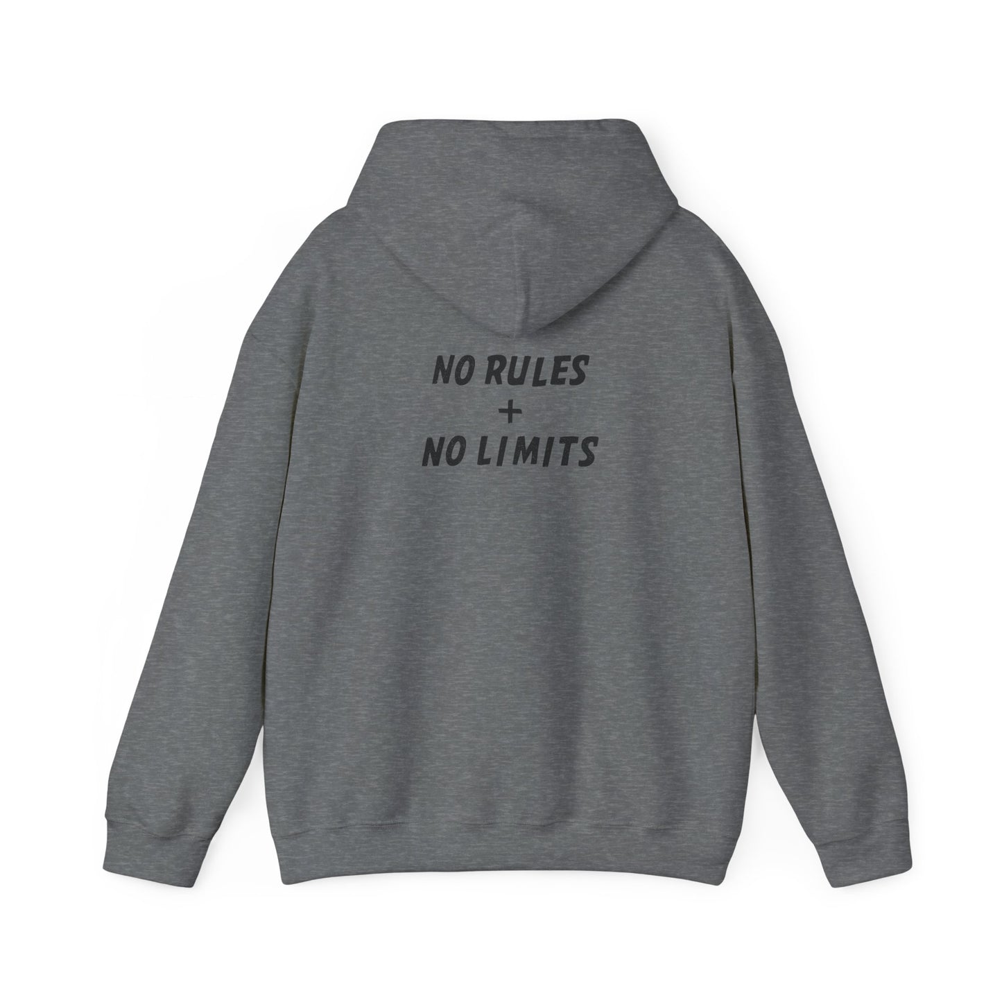 PICKLEBALL PUNK – No Rules Hoodie
